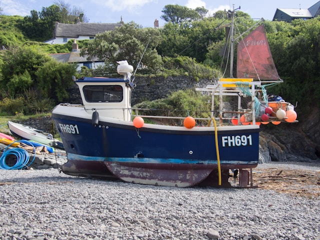 blue-and-brown-boat-on-shore-during-daytime